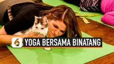 Berbagai penelitian terbaru menunjukkan sekitar 36 juta warga AS rutin melakukan yoga, termasuk untuk mengurangi stres. Belakangan kegiatan ini dilakukan sambil berinteraksi dengan binatang yang juga bisa kurangi stres, diantaranya kegiatan "cat yoga...