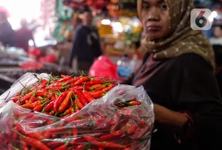 Cabai rawit dijual di Pasar Kebayoran, Jakarta, Selasa (7/3/2023). Harga cabai rawit merah di DKI Jakarta terpantau naik sudah menembus Rp 100 ribu per kilogram. (Liputan6.com/Angga Yuniar)