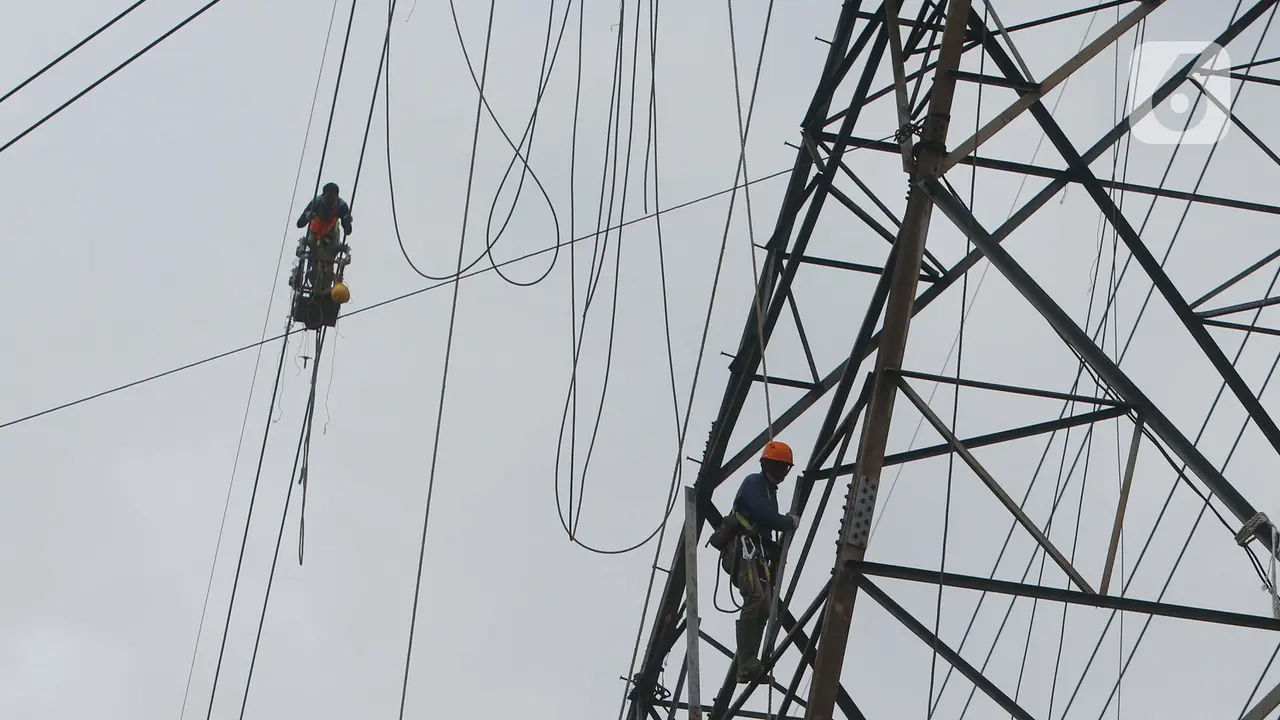 Saat Pasukan Elit PLN Bekerja Diantara Ketinggian dan Tegangan Tinggi