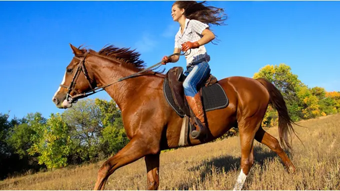 Courtesy ShutterStock.com