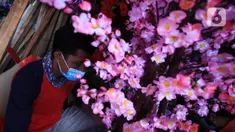 Pedagang saat membuat pohon bunga Meihua di salah satu toko Asemka, Glodok, Jakarta, Rabu (3/2/2021). Bunga Meihua ini hanya ada saat perayaan imlek setiap tahunnya. Harga bunga ini dijual dengan kisaran harga mulai Rp200 ribu hingga Rp400 ribu. (Liputan6.com/Johan Tallo)