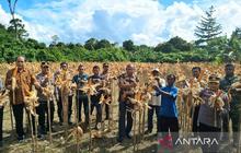Kolaborasi Pemkab dan Polres Hasilkan 2 Ton Jagung, Perkuat Ketahanan Pangan Teluk Wondama