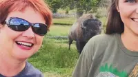 Wanita ini diseruduk bison saat selfie (yahoo.com)