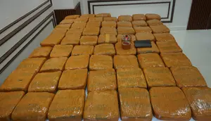 Polisi Bongkar 3 Karung di Petamburan, Isinya 62,5 Kg Ganja