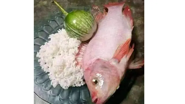 6 Potret Makan Ikan Mentah Ini Bikin Enggak Habis Pikir
