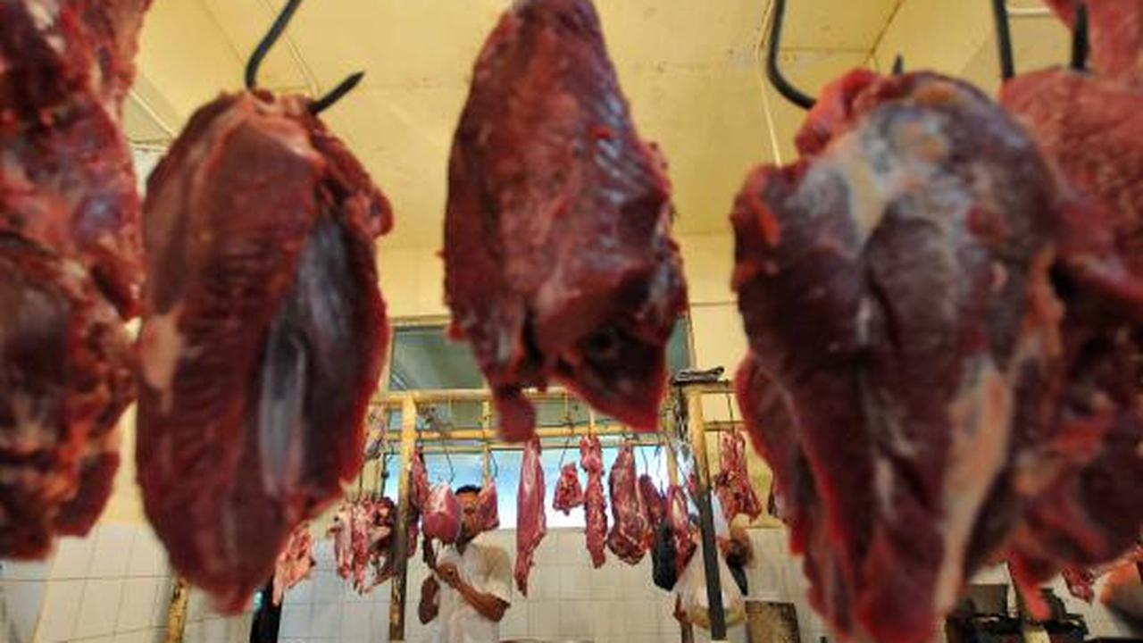 Harga daging sapi masih normal 