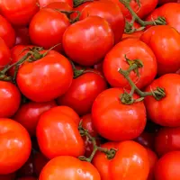 ilustrasi buha tomat/copyright by Pixabay