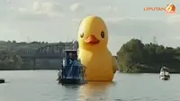 [VIDEO] Pertama Kali, Patung Bebek Raksasa Hadir di AS