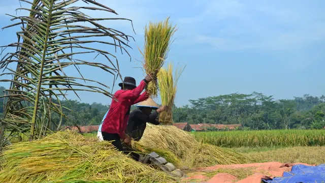 Ponggok Rintis Jalan Agar Seperti Desa Super Kaya di Tiongkok
