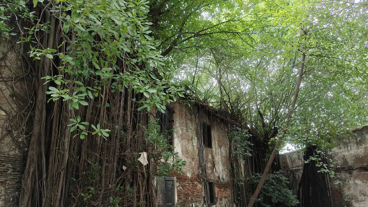 Penampakan salah satu sudut Gudang Timur dari Kasteel Batavia, benteng VOC abad ke-17 di kawasan Pademangan, Jakarta Pusat. (Liputan6/Rio Ferdinand)