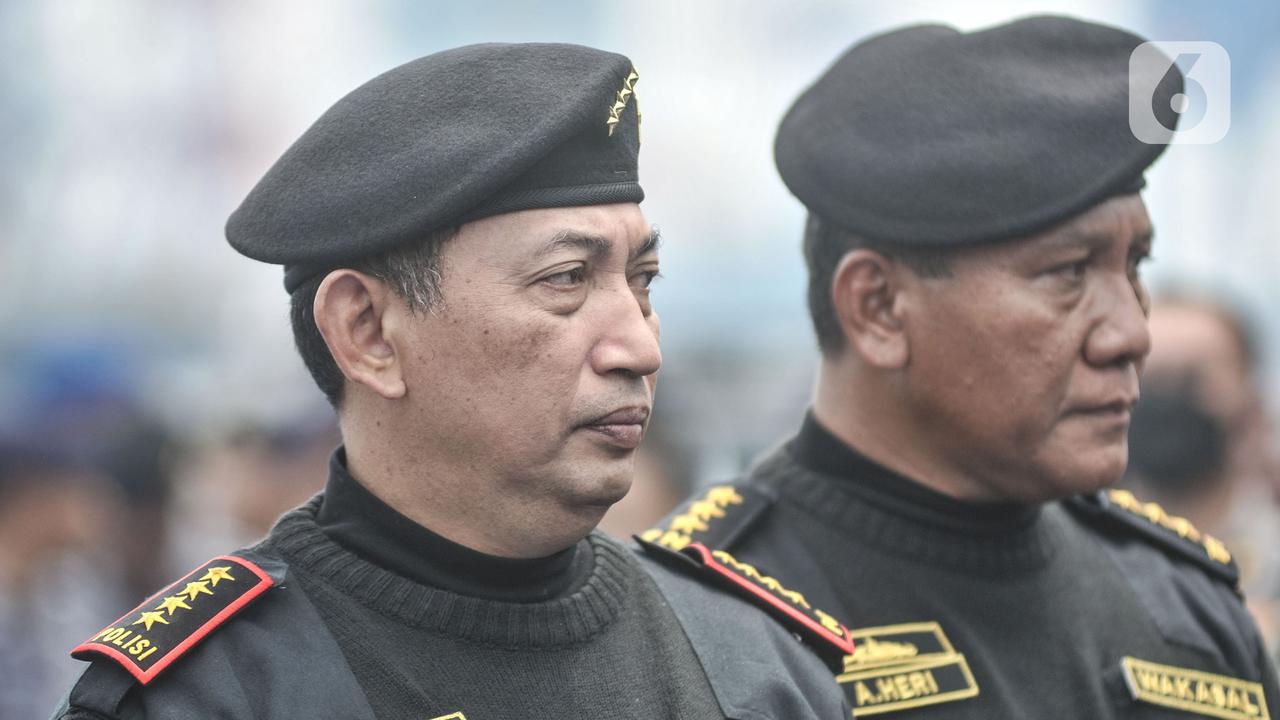 Penyematan Brevet Hiu Kencana