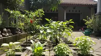 6 Cara Menanam Sayuran di Paving Block, Ide Kreatif Maksimalkan Halaman