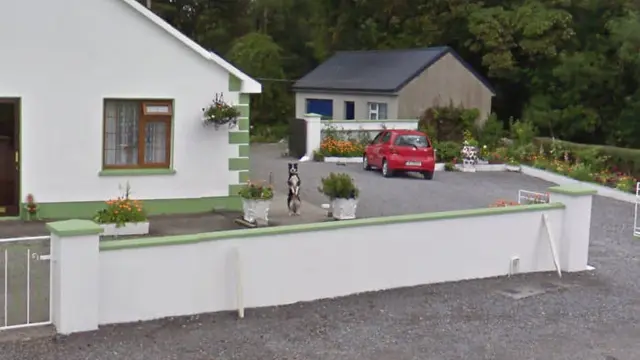 8 Potret Hewan Tertangkap Kamera Google Street View Ini Bikin Tepuk Jidat