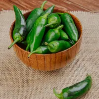 Ilustrasi cabai ijo untuk aneka masakan termasuk sambal | copyright freepik.com/stocking