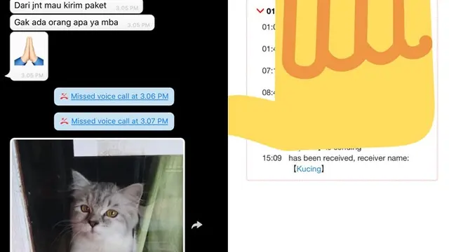 6 Potret Paket Diterima Kucing Ini Bikin Geleng Kepala