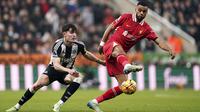 Pemain Liverpool, Cody Gakpo (kanan) berebut bola dengan pemain Newcastle, Tino Livramento pada laga lanjutan Liga Inggris 2024/2025 di St James Park Stadium, Newcastle, Inggris, Kamis (05/12/2024) WIB. (AP Photo/Ian Hodgson)