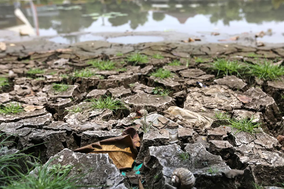 Musim Kemarau, Danau TMII Surut dan Mengering