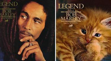 Gaya Kucing Saat Parodikan Cover Album Ini Bikin Gemes