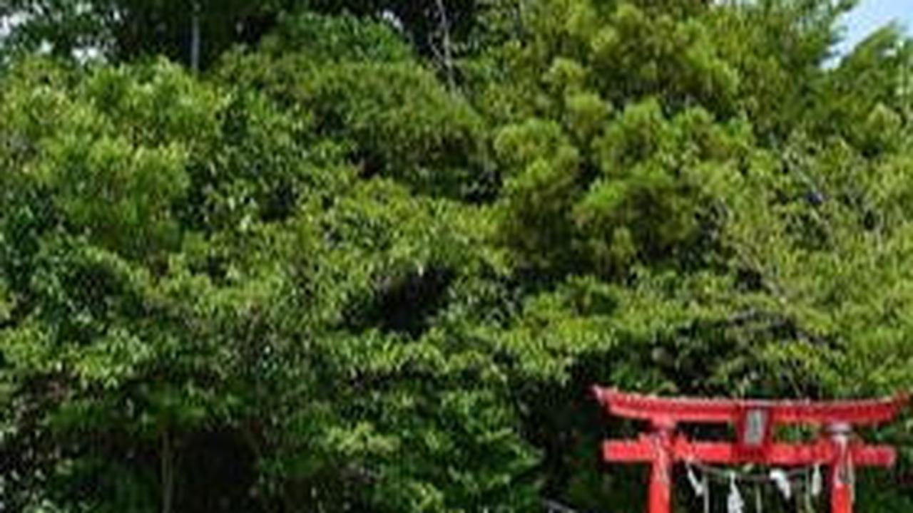 Lokasi Gunung Terpendek di Jepang<br>
