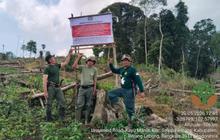 TNKS Temukan 80 Hektare Lahan di Rejang Lebong Dirambah, Upaya Pemulihan Ekosistem Digenjot