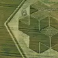 Crop circle di ladang gandum yang berlokasi di Clay Hill, Warminster, Wiltshire, Inggris (news.com.au)