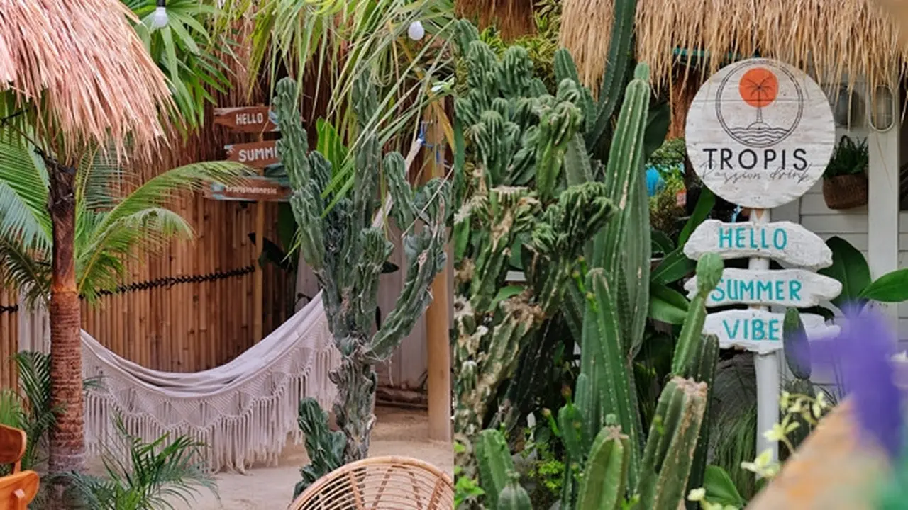 Kafe Bernuansa Tropis di Solo Hadirkan Ragam Spot Instagrammable