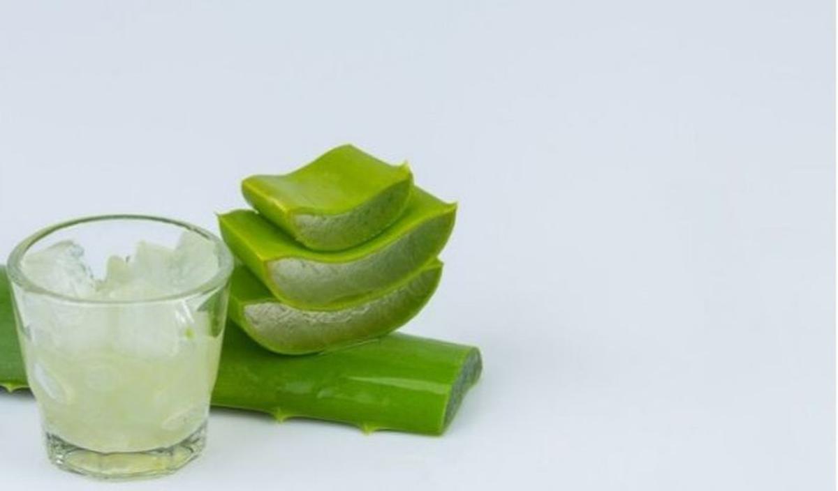 3.&nbsp;Mengandung Gel Lidah Buaya