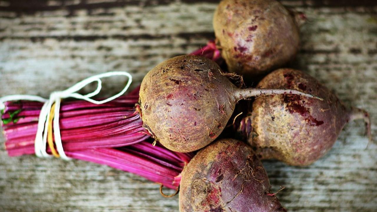 Manfaat Buah Bit untuk Ibu Hamil