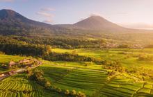 Udara Selalu Segar dan Tidak Pernah Panas, Intip Eksotisme Desa Jatiluwih Bali yang Jadi Warisan Budaya Dunia