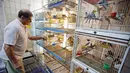 Burung, hewan yang bisa dipelihara dengan space kecil di rumah. Keindahan suaranya bisa memberikan rasa rileks, bahkan bisa membangkitkan energi. Mereka dapat menenangkan dan memberi sentuhan keindahan untuk rumah kita.  (REUTERS/Jean-Paul Pelissier)
