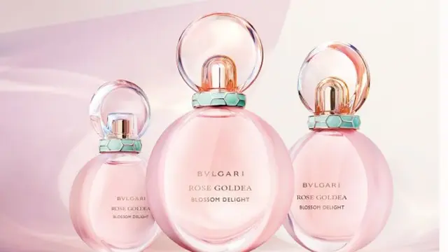 Rose Goldea Blossom Delight