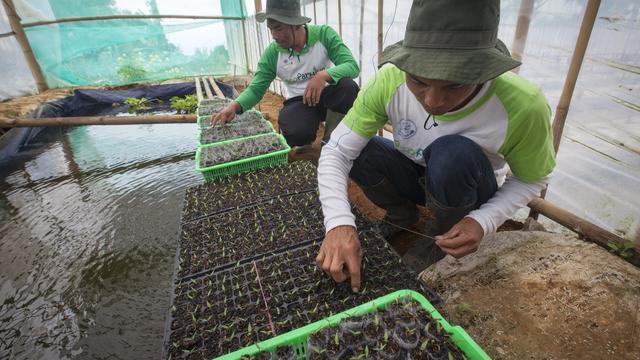 Berbagai usaha Danone-AQUA dalam pelestarian alam