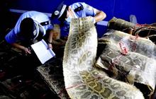 China sita 900 kulit ular piton dari pedagang satwa liar ilegal
