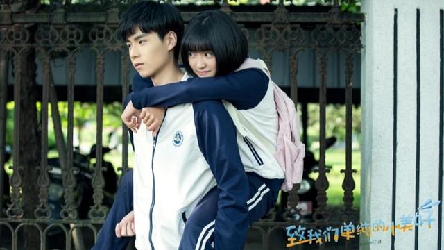 A Love So Beautiful (2017)