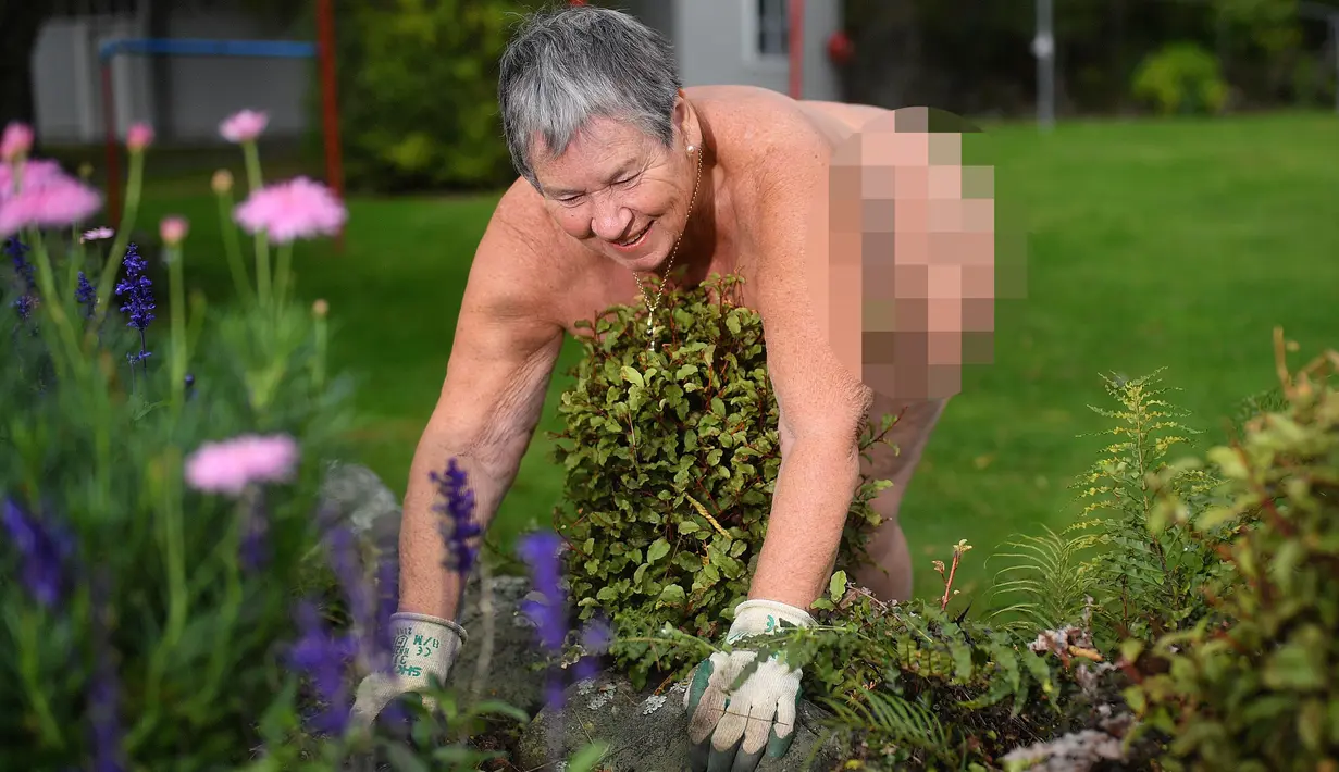 Gardener June Campbell-Tang berpartisipasi dalam World Naked Gardening Day di Wellington Naturist Club di Upper Hutt, Wellington (5/5). Acara ini dirayakan pada hari Sabtu setiap minggu pertama pada bulan Mei. (AFP Photo/Marty Melville)