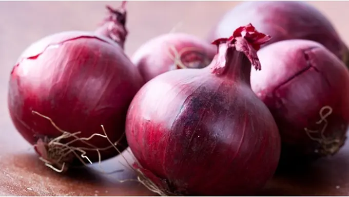 Foto: copyright shutterstock.com