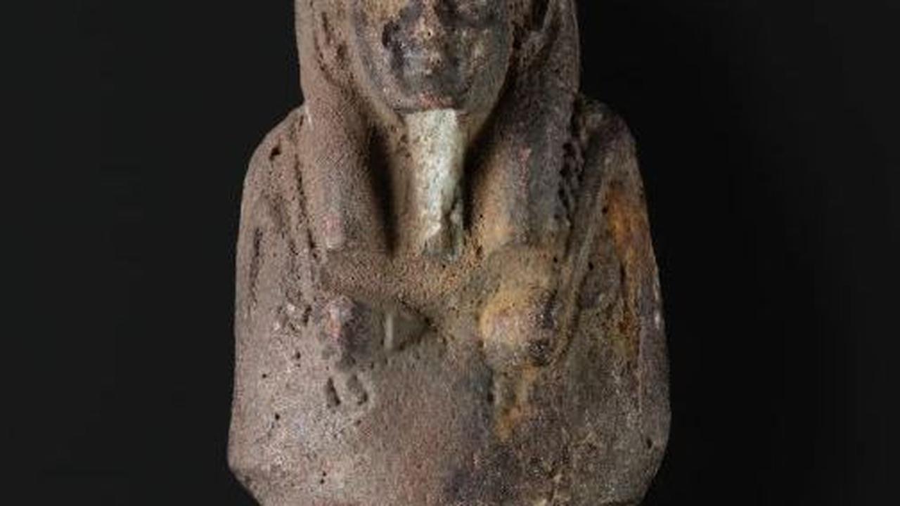 “Ini adalah salah satu kisah paling luar biasa yang terjadi pada saya selama 26 tahun saya berada di museum,” ujar Dr Elizabeth Goring.<br>