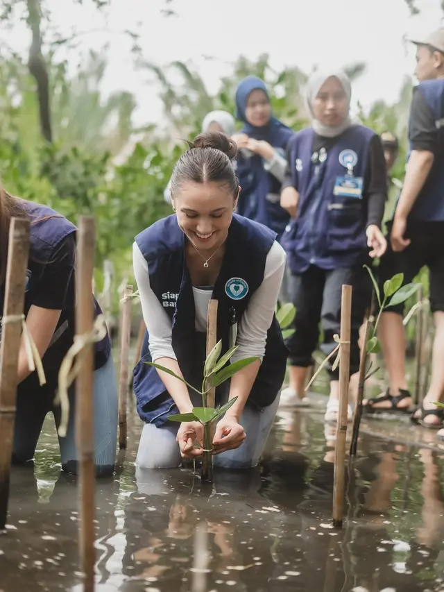 7 Momen Yasmin Napper, Asha Assuncao dan Haico Jadi Relawan Tanam Mangrove