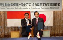 Indonesia-Jepang Perkuat Diplomasi Hijau Lewat Kerja Sama Konservasi Komodo di Shizuoka