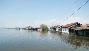 Banjir Rob Desa Tunggulsari Pati Makin Parah, Kades Ungkap Pemicunya