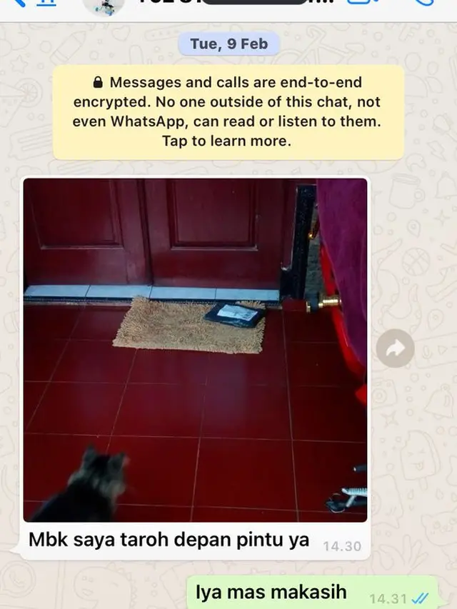 6 Potret Paket Diterima Kucing Ini Bikin Geleng Kepala