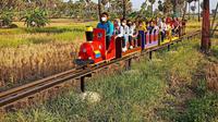 Kereta Sawah. (Dok. Instagram/@explore_lontarsewu @arya_api/https://www.instagram.com/p/CQBJVDoA6O2/Jihan Karina Lasena)
