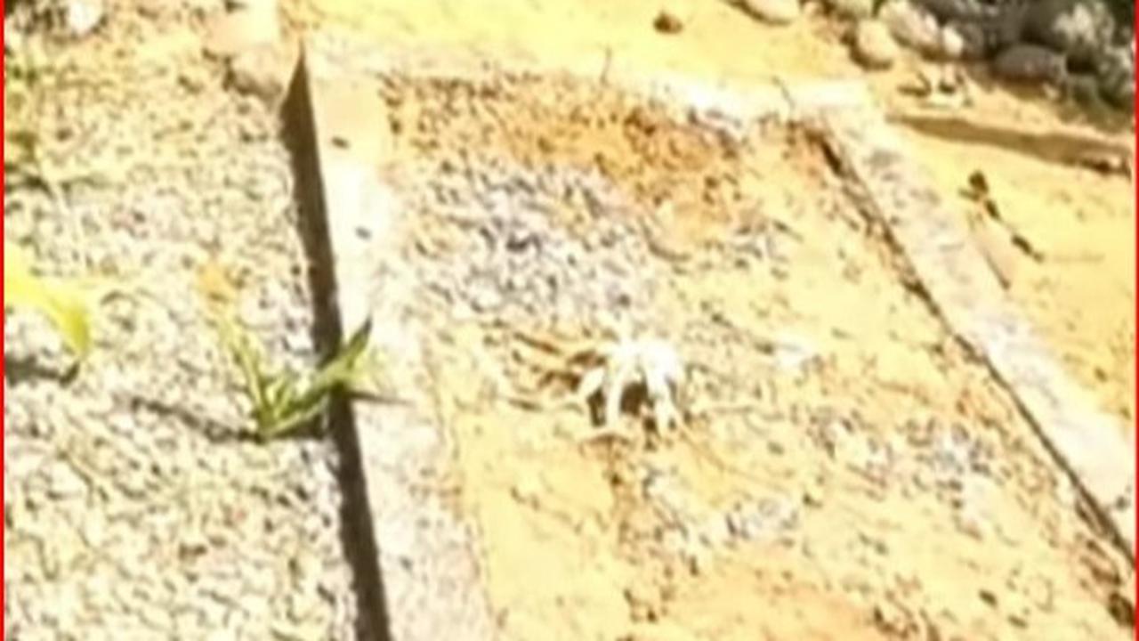 Makam palsu di Wonosobo
