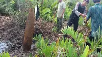 Anggota TNI dan Polres Kutim amankan rudal yang ditemukan warga. (Dhedy/Sangatta Post/Jawa Pos Group)