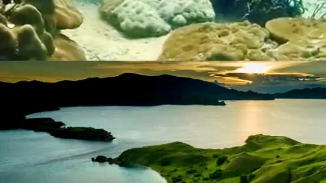 Tempat menyelam terbaik posisi keempat Pulau Tioman, Malaysia, dan posisi kelima Taman Nasional Komodo, Indonesia