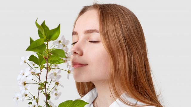Penciuman hilang cara melatih indra yang Cara Memulihkan