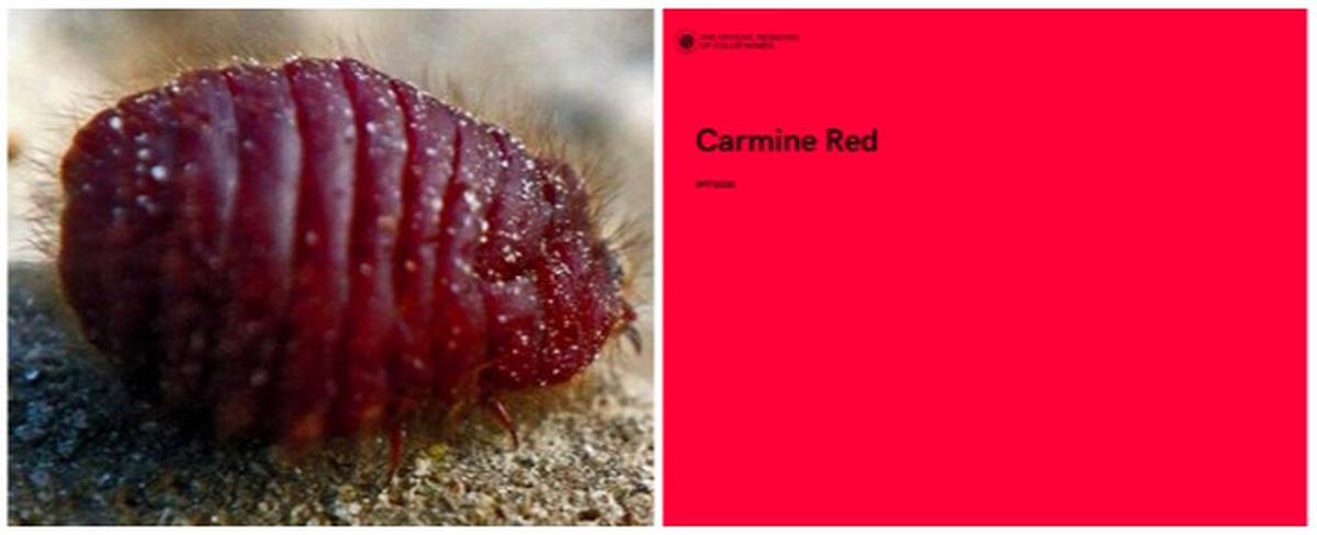 Carmine Red