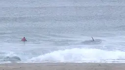 Pada potongan video memperlihatkan paus pembunuh (orca) melewati peselancar Afsel, Shanon Ainsle di tengah kejuaraan selancar di Unstad, Norwegia, Sabtu (23/9). Para peselancar pun dengan cepat berlarian ke pantai. (HO/LOFOTEN MASTERS 2017/AFP)