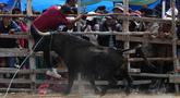Seorang matador amatir diseruduk banteng dalam Festival Our Lady of the Rosary di Desa Andes Huarina, Bolivia, Senin (3/10/2022). Sekelompok matador amatir melakukan parodi adu banteng Spanyol, tetapi tanpa mengorbankan banteng. (AP Photo/Juan Karita)