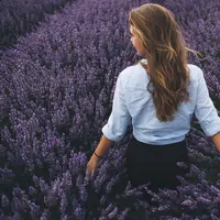 Ilustrasi rambut indah dan sehat (Foto: Unsplash/ Will Li
@willske)